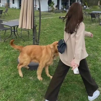 甜心战士